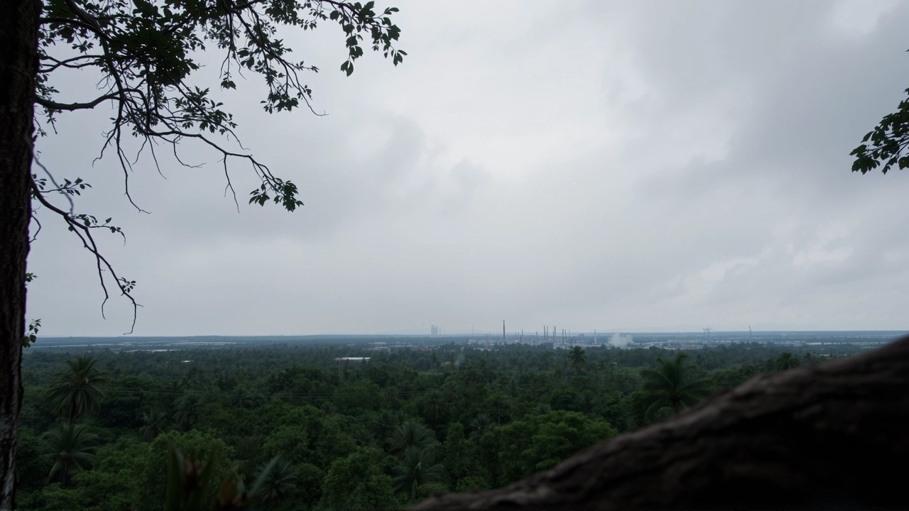 Mercados de carbono: promesa o contaminación oculta